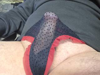 panties
