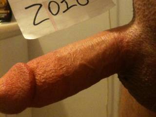 Do you like my ZOIG photo?