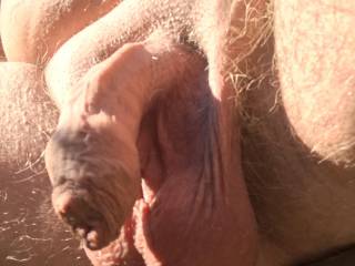 Do you like a foreskin on a cock ?