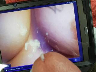 Tribute for bobdalemelrose and her terrific tits