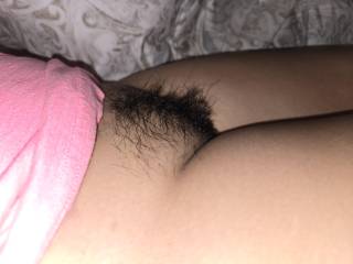 side view of my bush