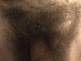 Do you like a thick full bush too.