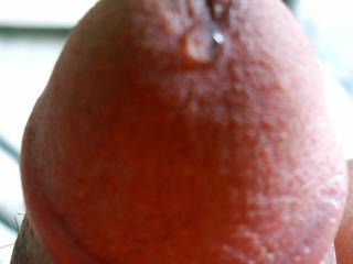 My dick