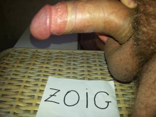 tribute to zoig