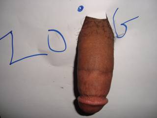 my cock