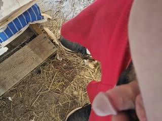 Small cock fun