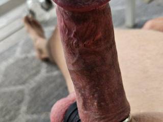 Horny boy