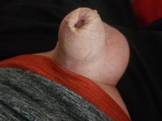 Tiny cock hiding in foreskin