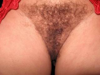 It would make me so wet to have someone\'s cock give my hairy pussy a cum tribute and show me...please cum on me