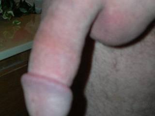 flacid cock