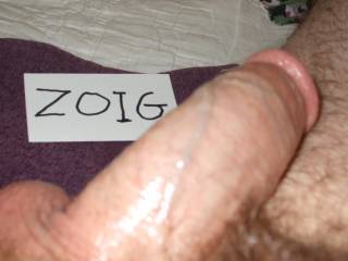 first zoig cock pic.........more 2 cum