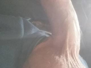 my cock