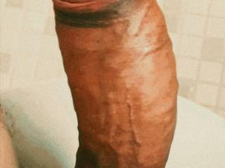 Morning wood 2