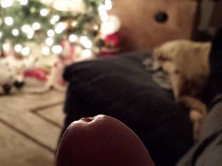 Merry Christmas Zoig!