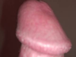 I have some new photos of my Mr Dick.