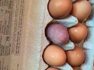 Mr. F trying to tempt me with a breakfast treat.  Should I try a taste?  From Mrs. Floridaman