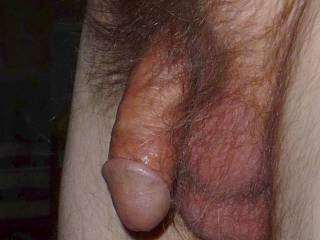A side close up of my dick & balls in November of 2023. Camera used, Z50.
