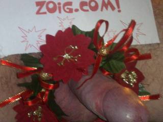 xmas cock