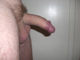 Some pics of just my cock ready for you
