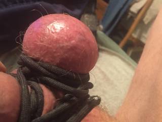 Ready to suck on again