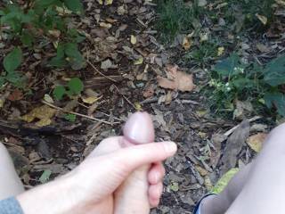 stroking my meaty cock in the woods