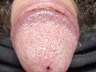 Flaccid cock with bare head