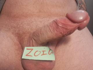 Back on zoig.com