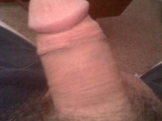 my cock