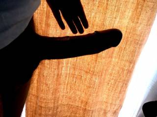 Game of shadows and silhouettes! :)