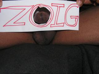 Checking ZOIG out had me bursting through!
