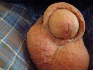 Lacy Saturday morning who wants to wate him up 🤔