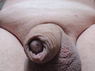bit of a cock selfie for my ZOIG buddies to view.....hope you all like