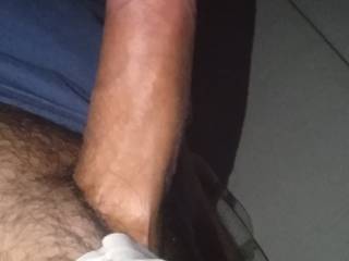 7 in seraching for a wild rider