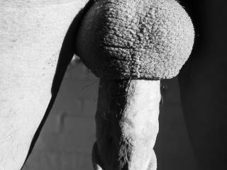 Photo of a new friend.   Do you like this pose?