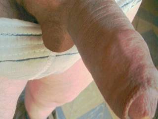 My semihard cock