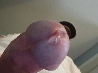 Any Upstate ladies need every single bit of that ass thoroughly tongue kissed....before I Ross you back over and eat that pussy some more? 
Not to worry, I\'ll toss you around for my turn too.
