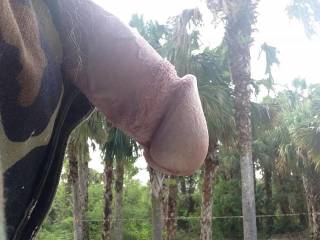 Fresh outdoors