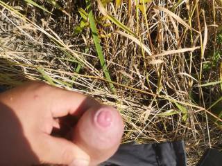 Tight fourskin