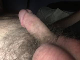 Bdog7777