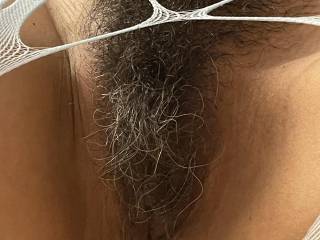 Pussy