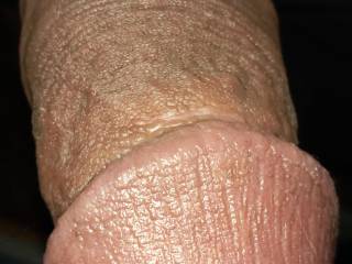 Enjoy the glans of my hard penis and coment please