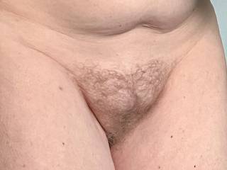 Mature Tummy and hairy pussy