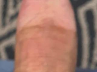 Suck my cock