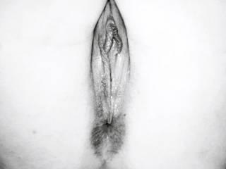milf pussy