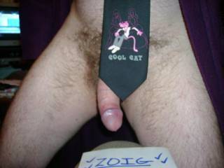 cock, tie, Zoig