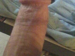 my cock