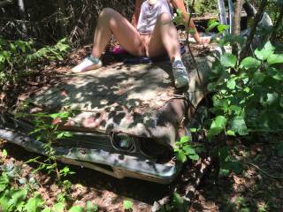 Found this old car in the bush!