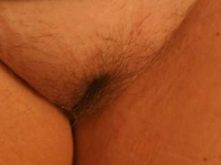 pussy