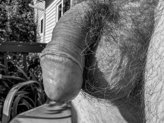 dick