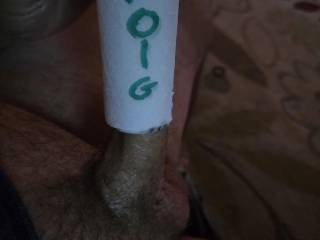 Was curious to see if this paper roll would slip around my cock...took sone work